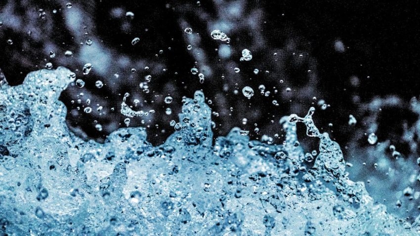 selective focus photo of water dew